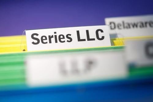 Protected & Registered: Everything You Need to Know About Delaware Series LLCs
