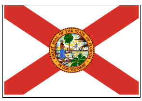 Navigating Domestic Delaware LLCs and Florida Foreign Qualification