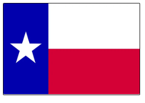 Understanding DE LLC and Texas Foreign Qualification