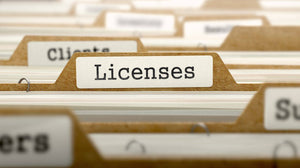 Delaware Business License Service Order Form - Delaware Business Incorporators, Inc.